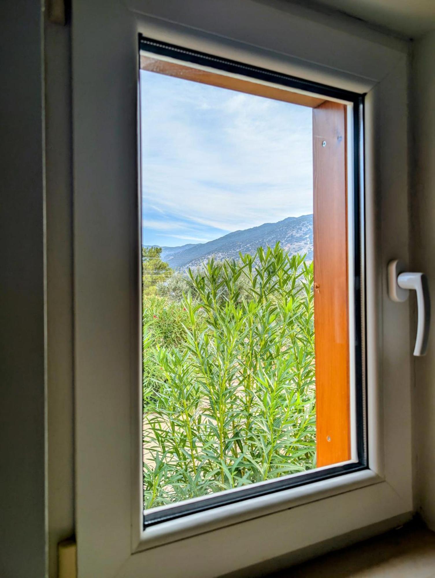 Belvedere, Lavanta, Kalkan Bagian luar foto